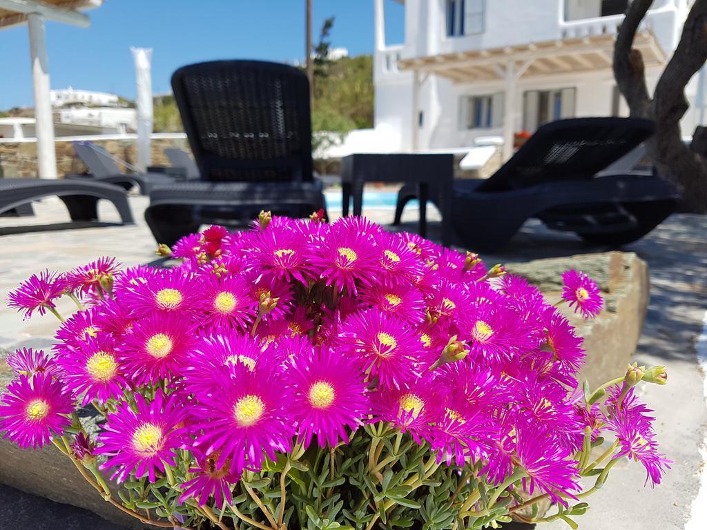 Villa Varnali Small Boutique Mykonos Town エクステリア 写真