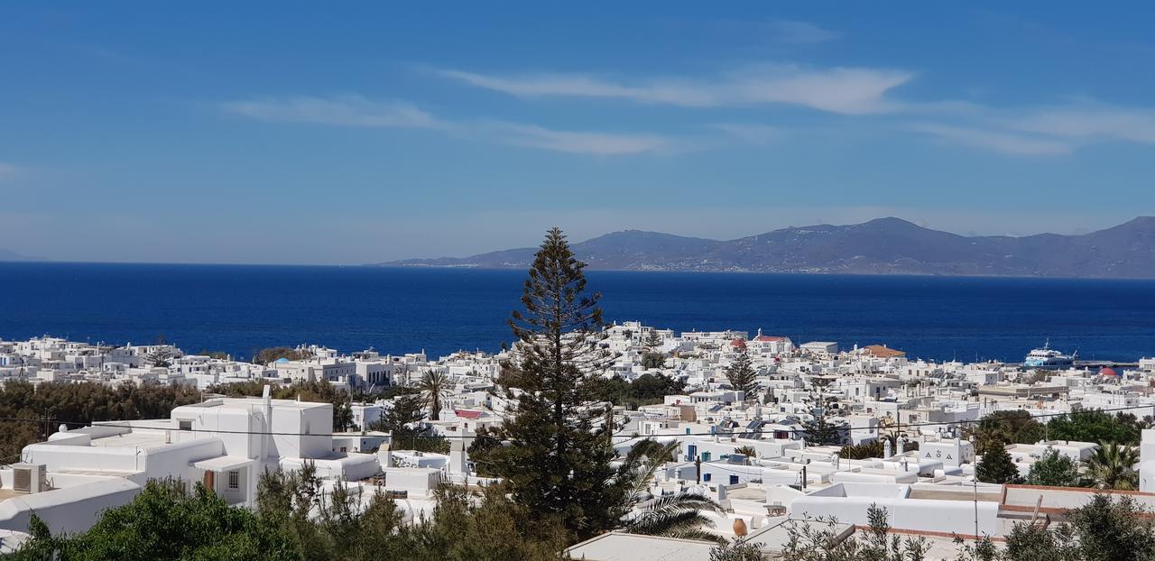 Villa Varnali Small Boutique Mykonos Town エクステリア 写真