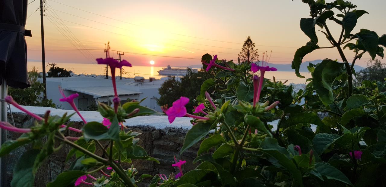 Villa Varnali Small Boutique Mykonos Town エクステリア 写真
