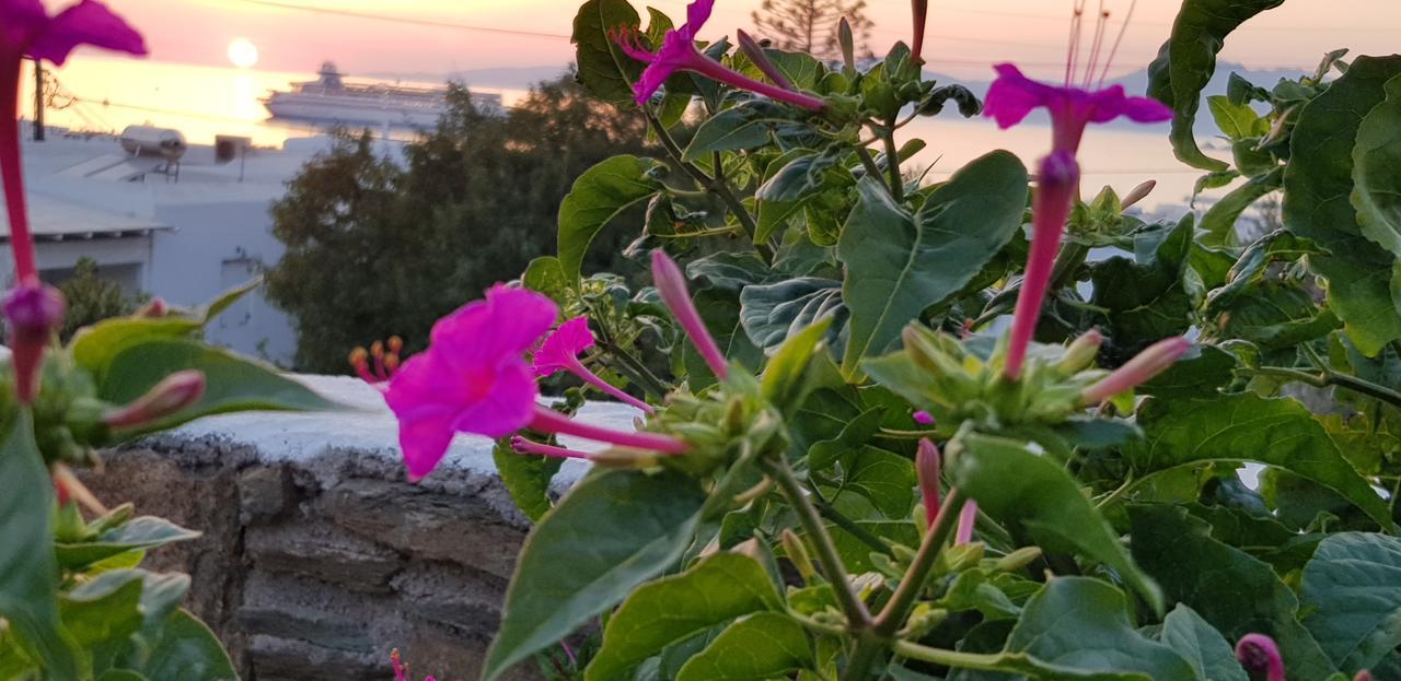 Villa Varnali Small Boutique Mykonos Town エクステリア 写真